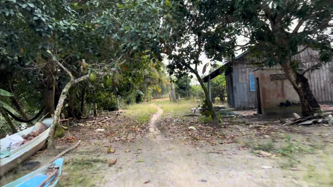 Khám Phá Vùng Quê Bất Ngờ Lạc Vào Con Đường Vấn Về Giửa Đồng Không Một Bóng Người Thấy Mà Lạnh