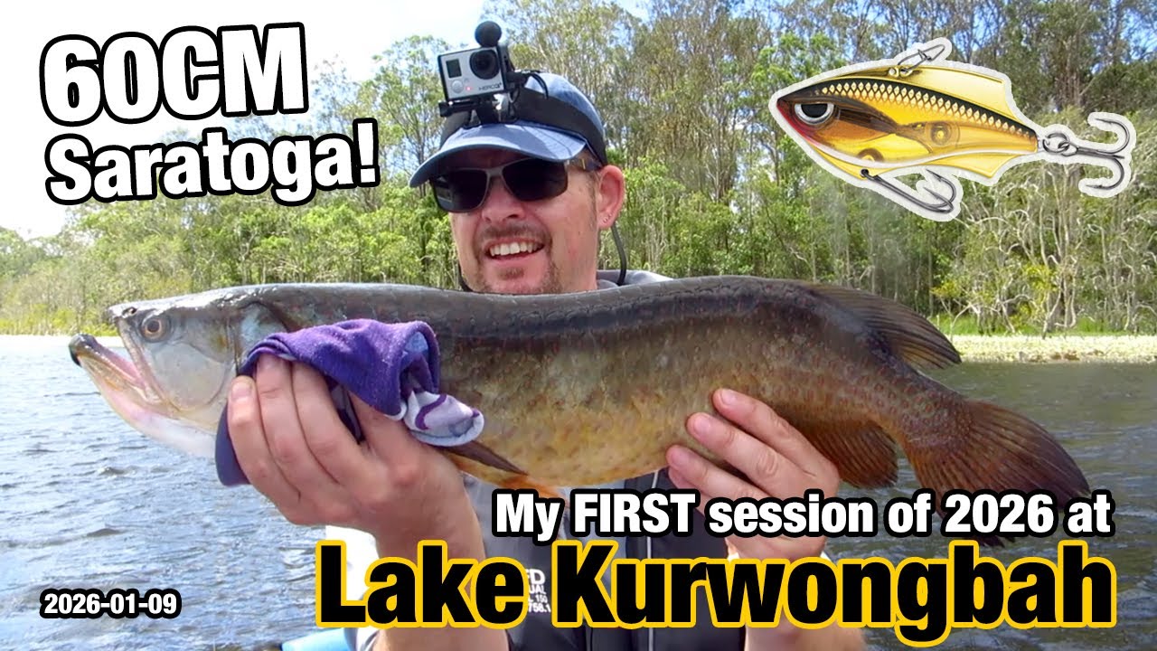 A 60cm Saratoga from Lake Kurwongbah!
