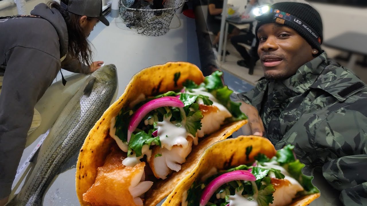 Giant Fish Catch and Cook | Most Delicious Fish Tacos