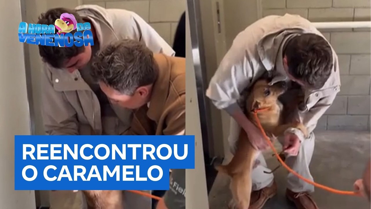 Rafa Vitti reencontra cachorro de 'Caramelo' um ano após as gravações