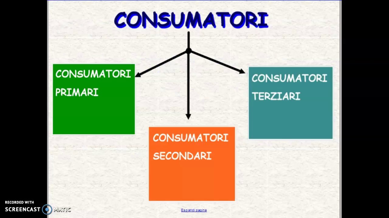 La catena alimentare: produttori, consumatori e decompositori