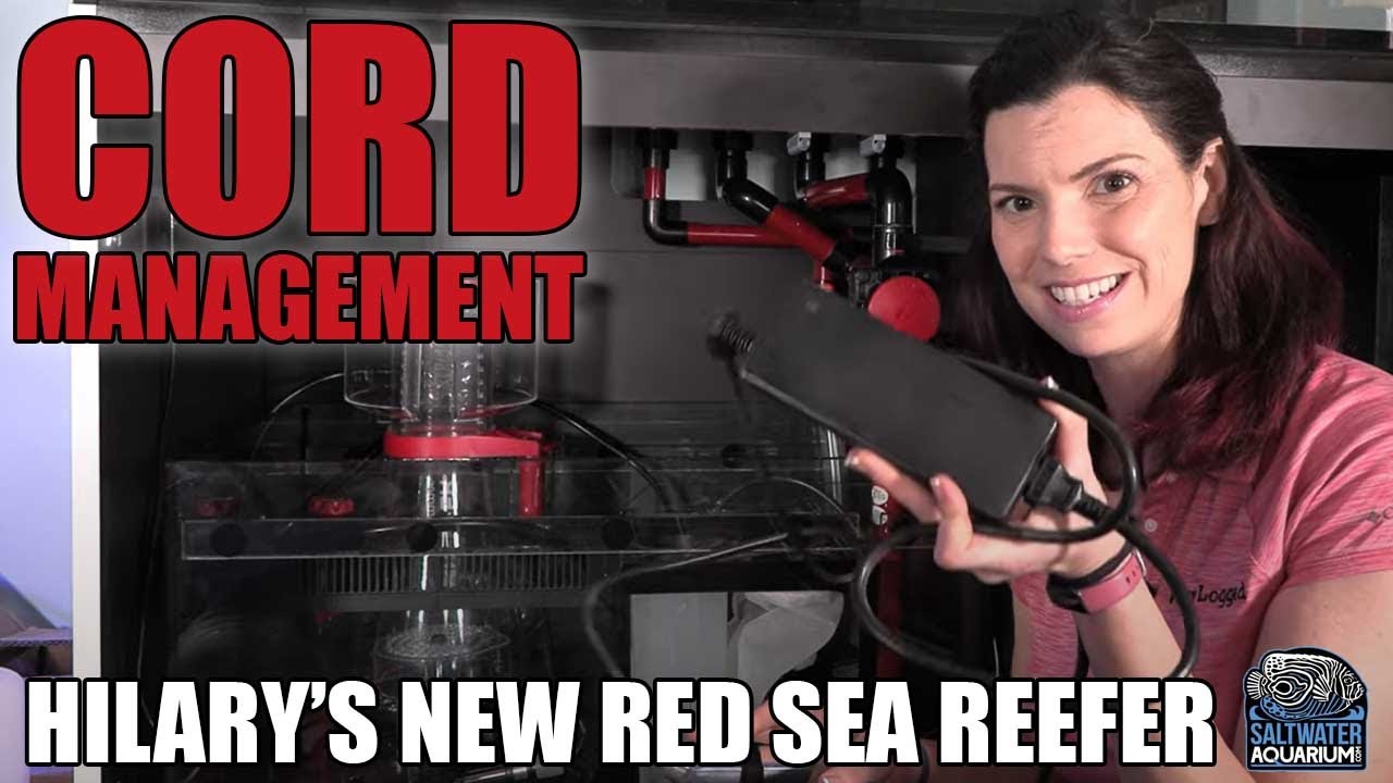 Aquarium CORD MANAGEMENT - Hilary's New RED SEA Reefer