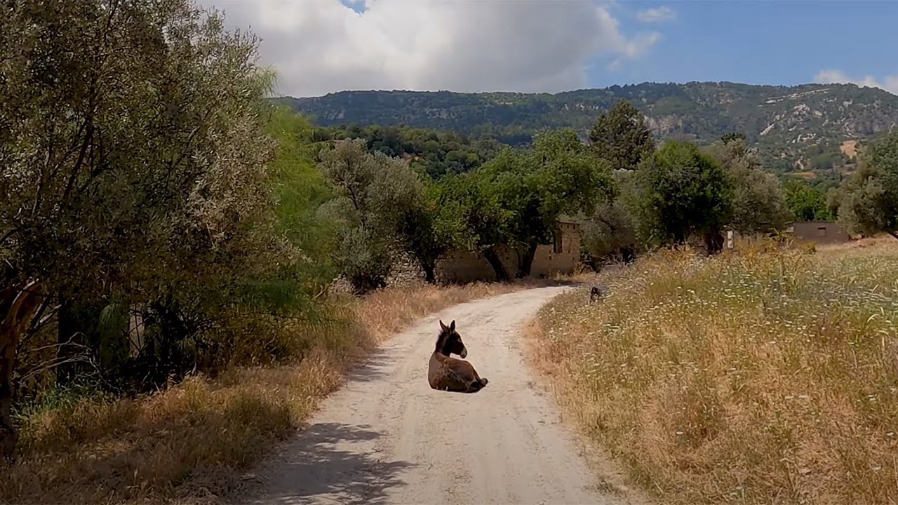 Vretsia On and Off Road - Cyprus, May 2021 - 4K!