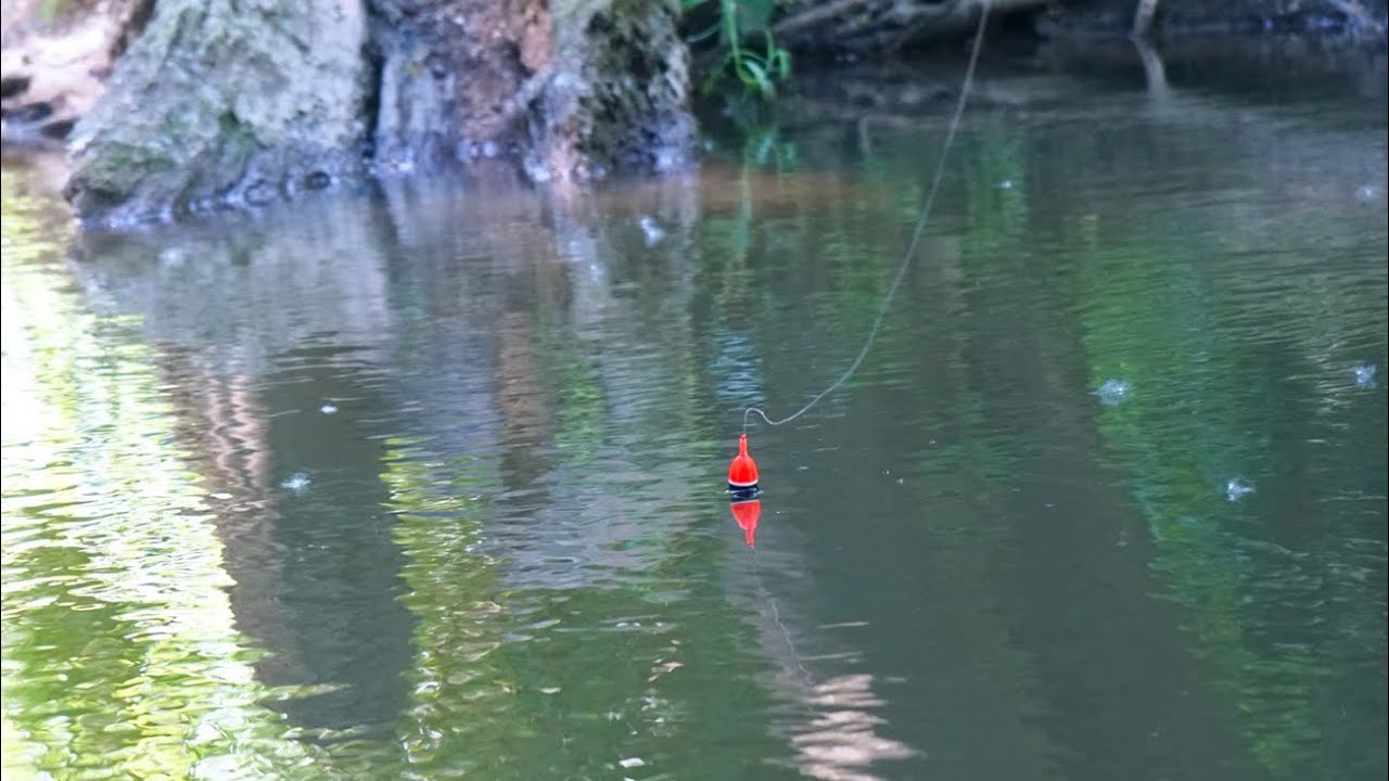 RIDICULOUS SUMMER STEELHEAD BOBBER DOWNS! - Float Fishing Summer Skamania 2023
