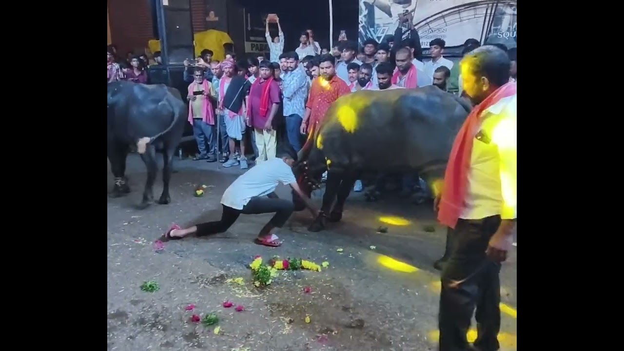 Yadav's Sadar @Hastinapurm  #sadar #diwalispecial #yadav 