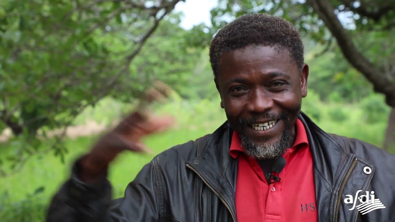 Afdi : Un partenariat économique responsable pour développer la filière noix de cajou bio au Bénin