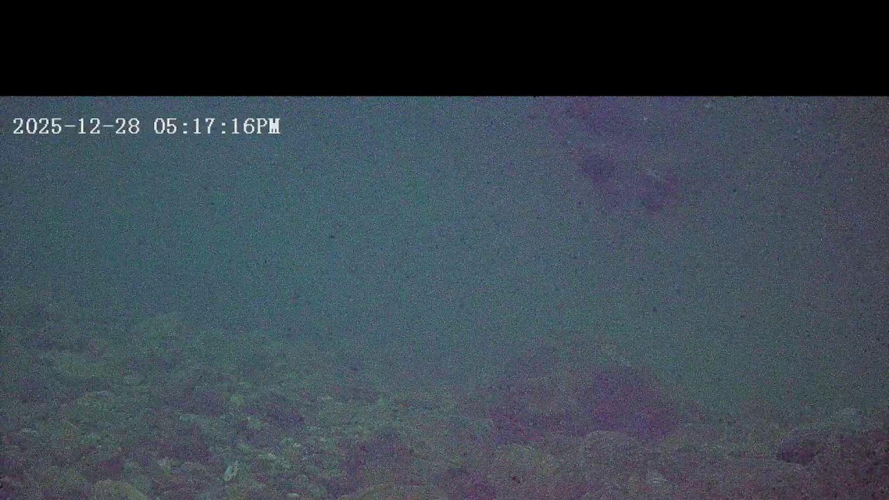 Slow TV Clear Creek Cam 12/28/2025