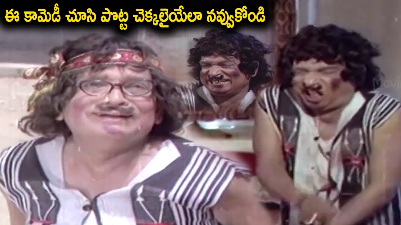 ఈ కామెడీ చూసి పొట్ట చెక్కలైయేలా నవ్వుకోండి | Allu Ramalingaiah Telugu Movie Hilarious Comedy Scenes