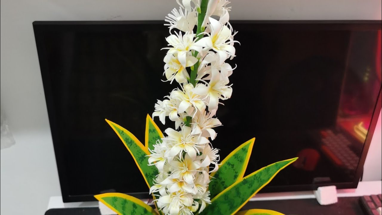 Folhagem espada de São Jorge em Eva sem frisador