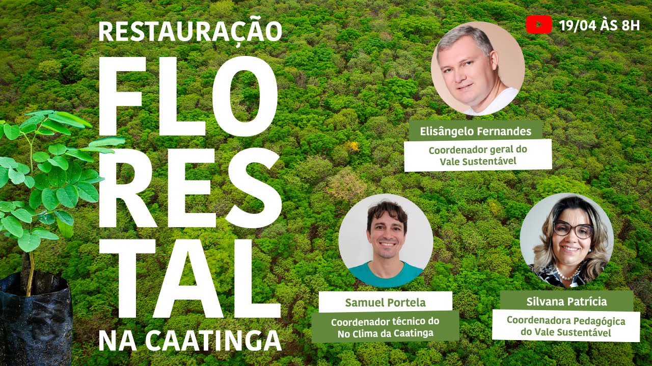 Restauração Florestal na Caatinga - No Clima da Caatinga e Vale Sustentável