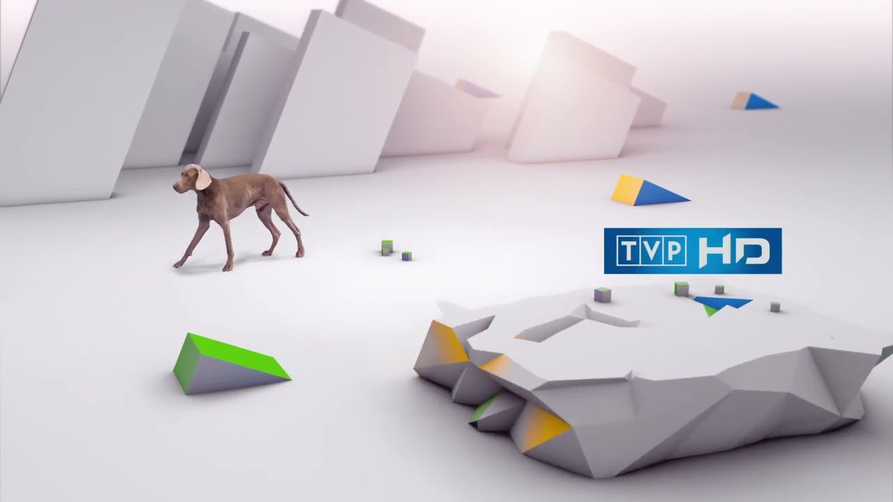 TVP HD - identy (od 2013)