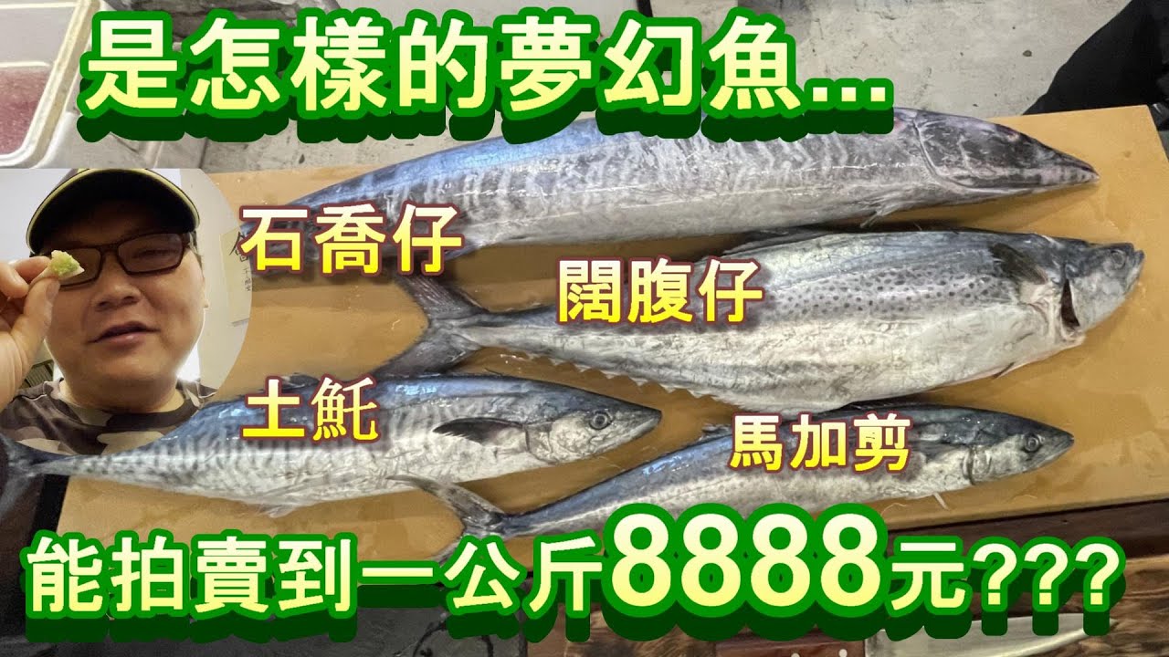 【魚土魚金馬加鰆】以前很便宜現在貴到爆的破北魚，真的值得一吃嗎？一起來徹底瞭解這秘辛，以免上當受騙。@料理中的料理人郭宗坤