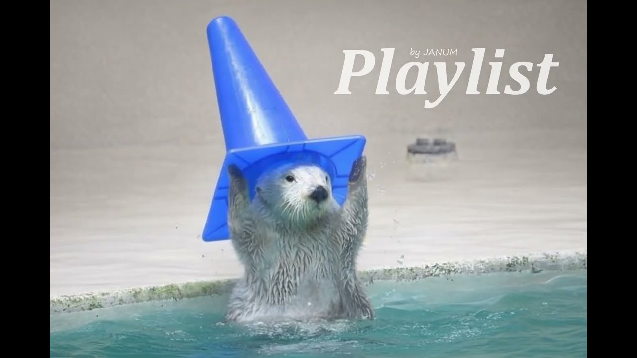 playlist | 🦦 멍하니 틀어두는 몽글한 작업플리 | Cozy Soft Indie Pop