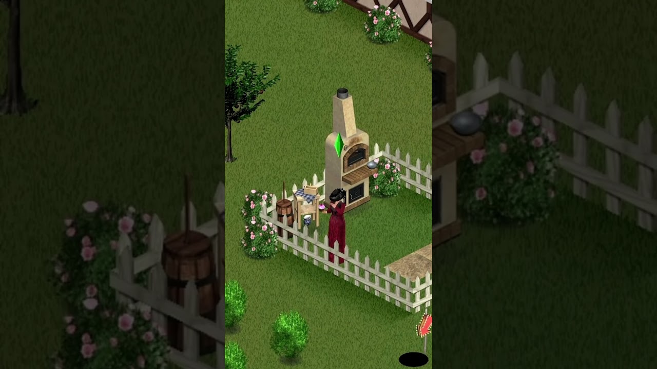 The secret magical cupcake in The Sims 1