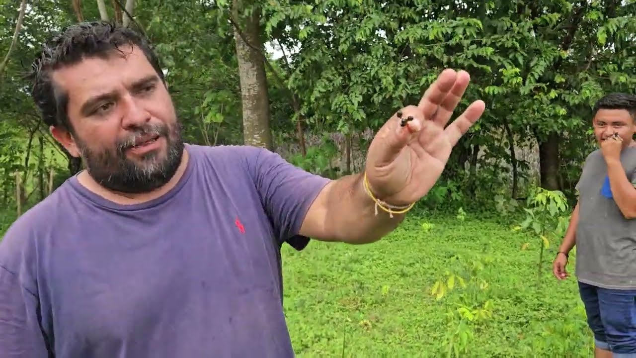 Se vende hermosa parcela en el Jabalí con Luz eléctrica y Agua propia a 240 mil la Manzana 