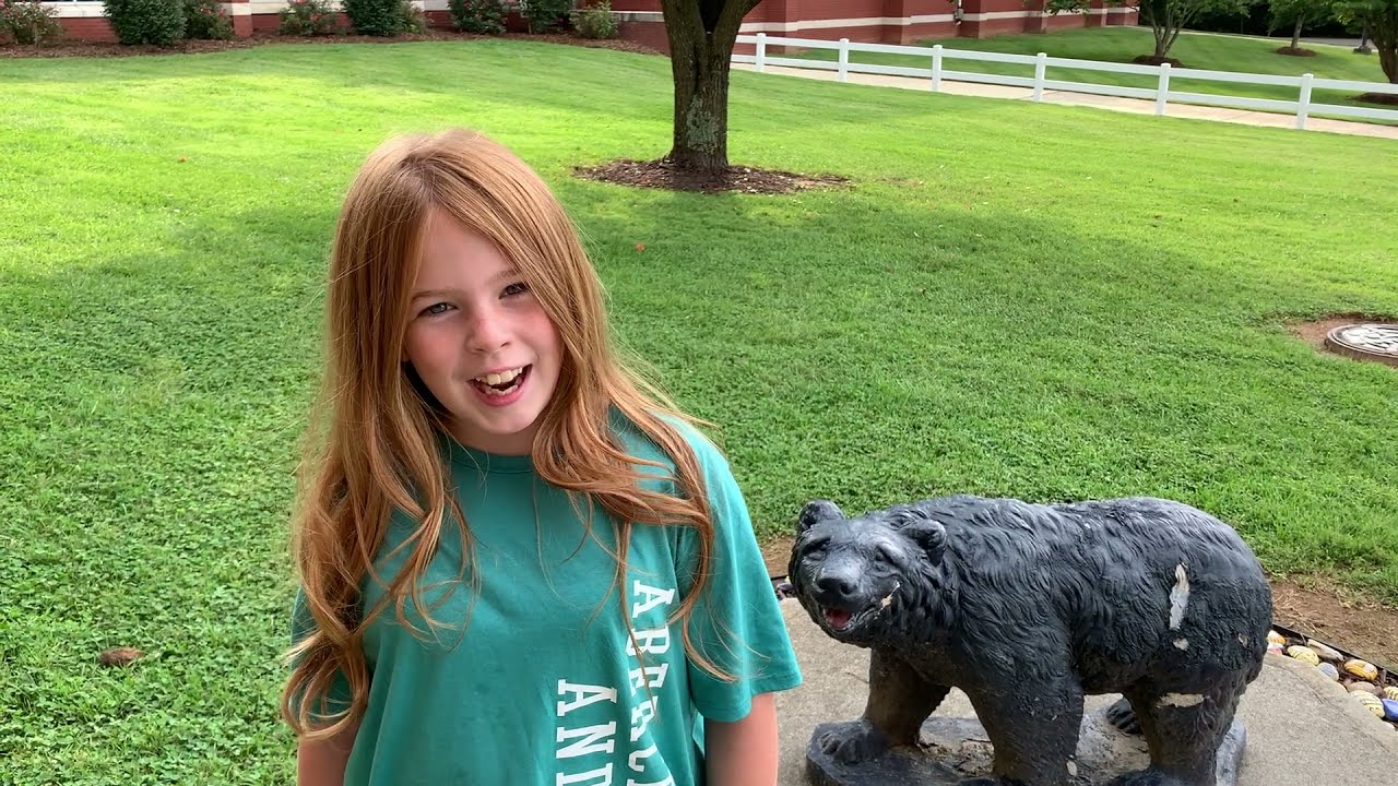 Mount Airy City Schools Accountability Results 2020-2021