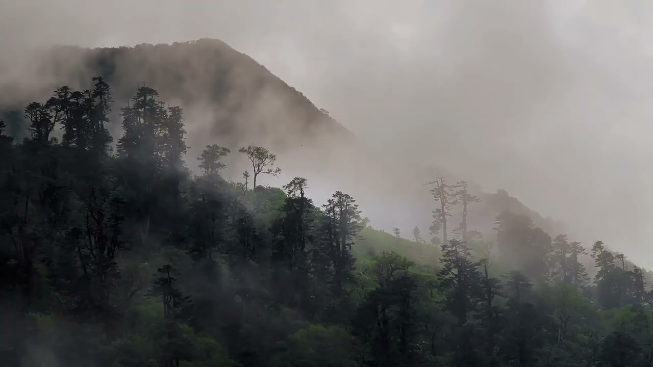 Morning Fog Over Hills