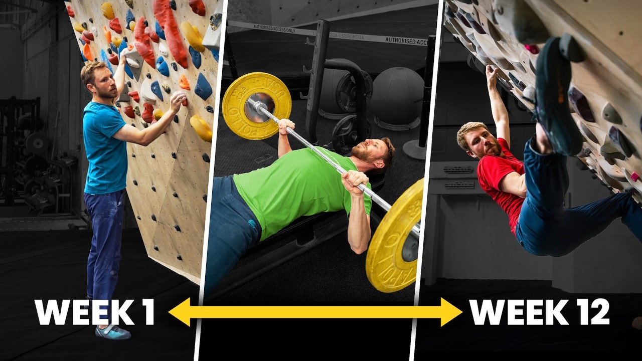 You’ve Started Climbing Again - Now What?