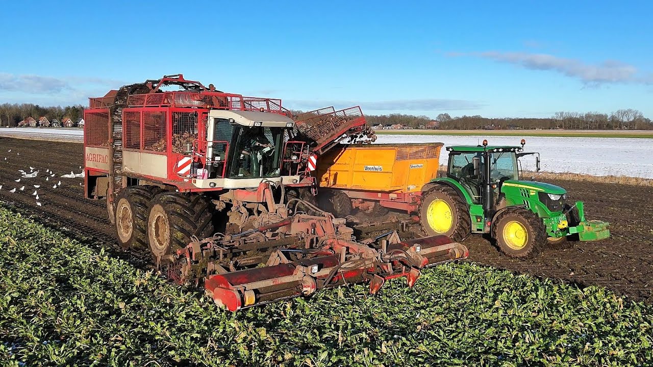 Bieten oogst 2024 met Agrifac Hexa. Stuck in the mud.  loonb. Speelman & Feunekes.