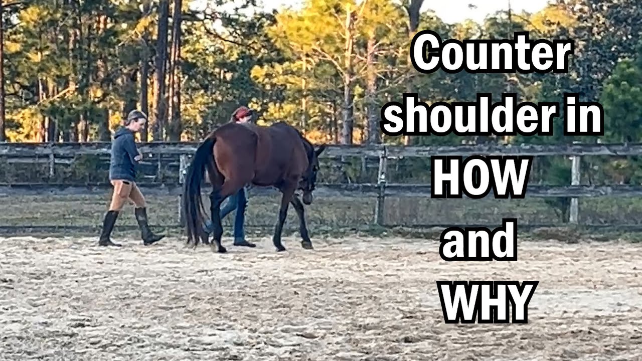 In-hand work: LEARN counter shoulder in HOW and WHY