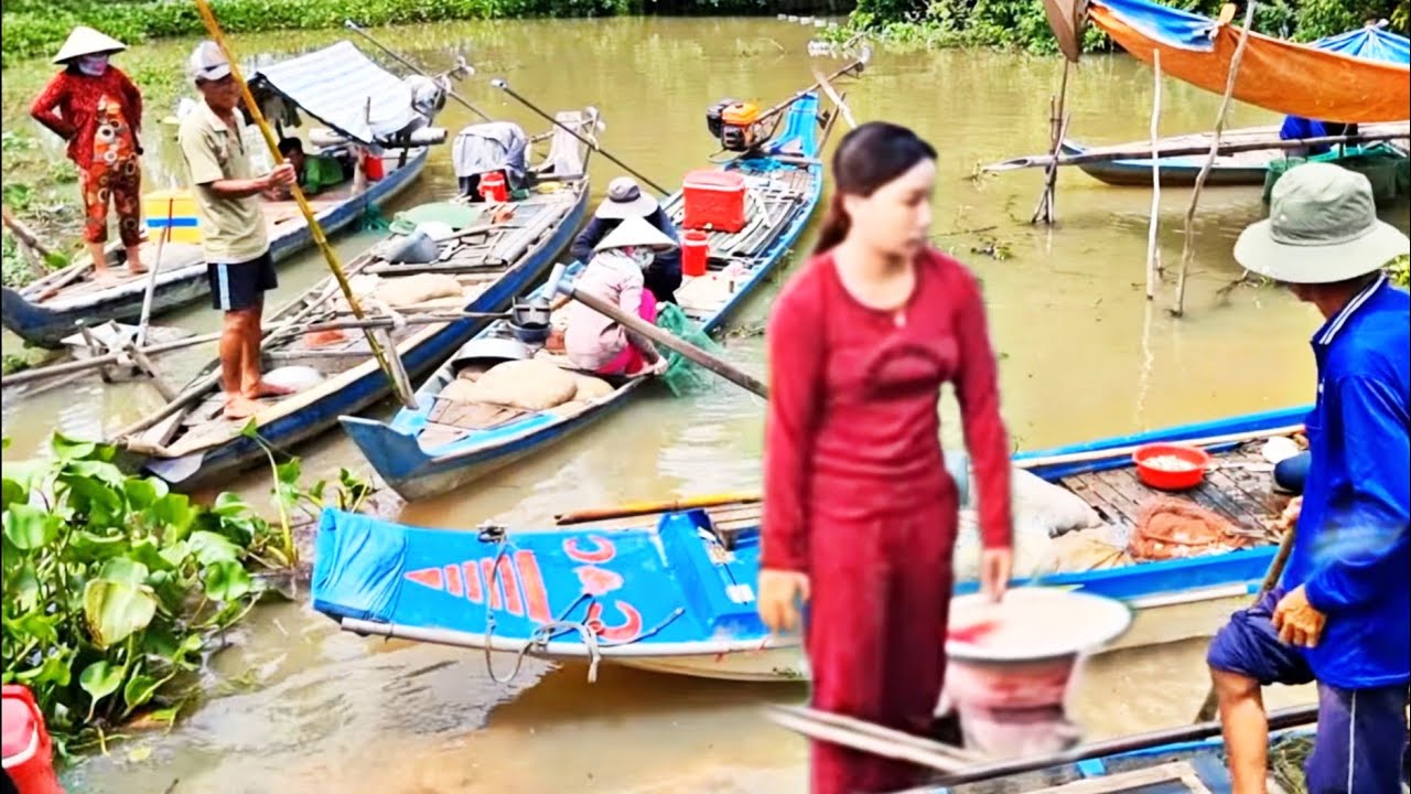 An Giang Mùa Nước Nổi 2025 – Vẻ Đẹp Bình Yên, Đời Sống Vùng Quê