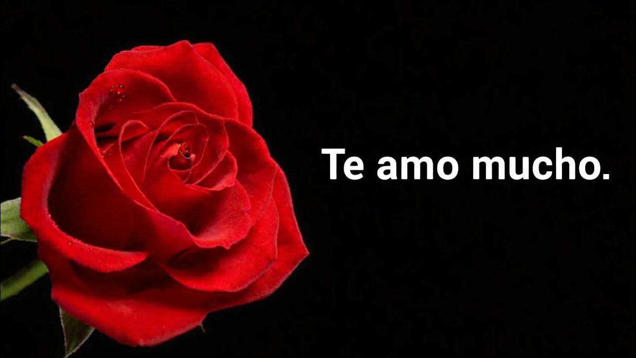 Este mensaje es solo para ti