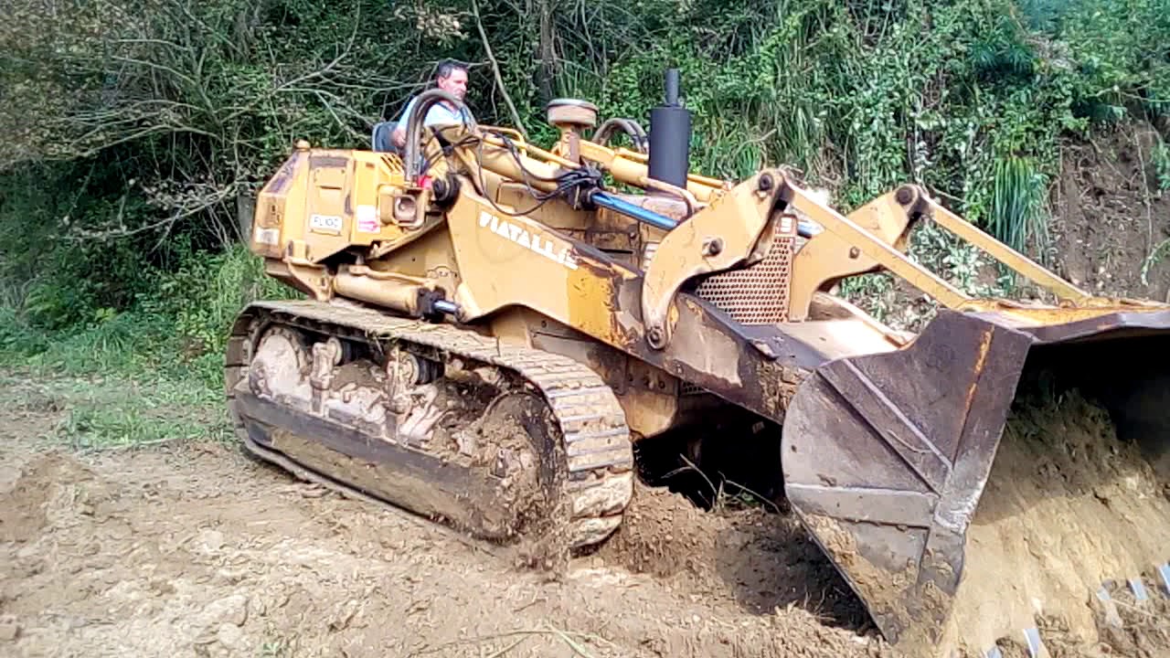 Pala fl10c