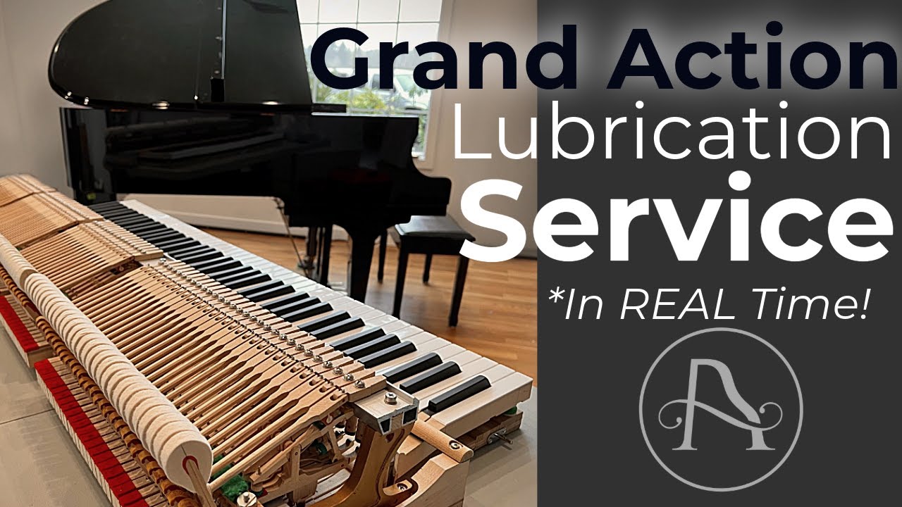 Grand Action Lubrication Service   In Real TIME!