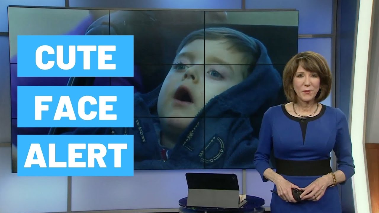 No nerves + cuteness = headline news