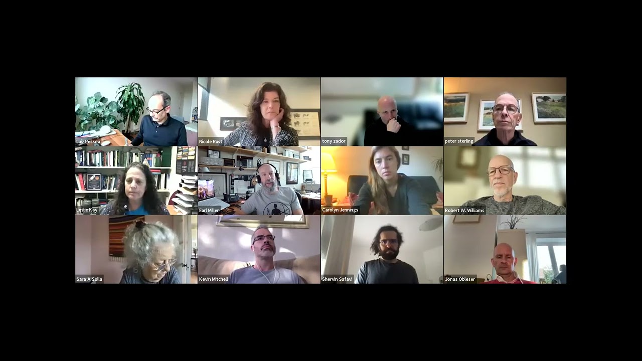 Spikes, Local Field Potentials, and Waves with Leslie Kay, Earl Miller, and Tony Zador