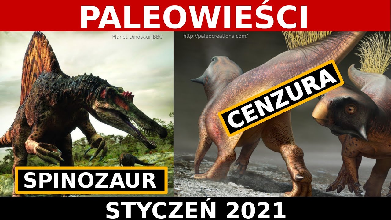 Spinozaur udający czaplę | &bdquo;Zadek&rdquo; dinozaura | PaleoWieści #11