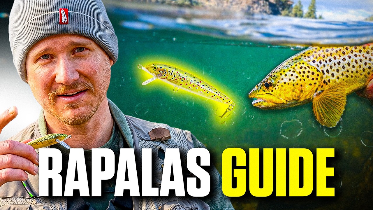 This Lure Catches EVERYTHING (How To Fish a Rapala Properly)