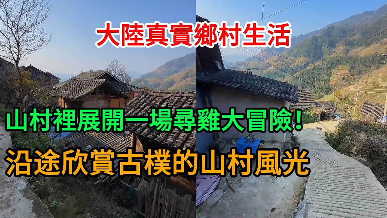 93年大哥帶05年小弟找雞吃！走遍山村問了10幾家竟然都沒有？最後靠顏值蹭飯成功！