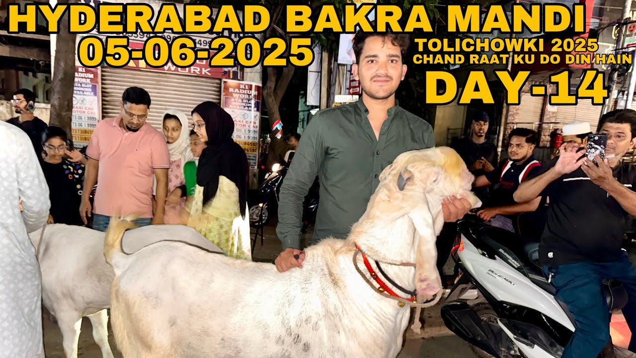 HYDERABAD BAKRA MANDI | TOWLICHOWKI 05-06-2025| DAY-14 |TOWLICHOWKI BAKRA MANDI | goat market