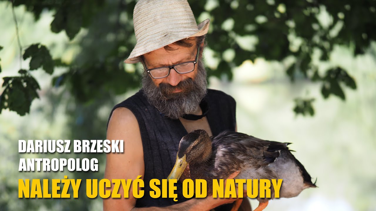 Dariusz Brzeski - 