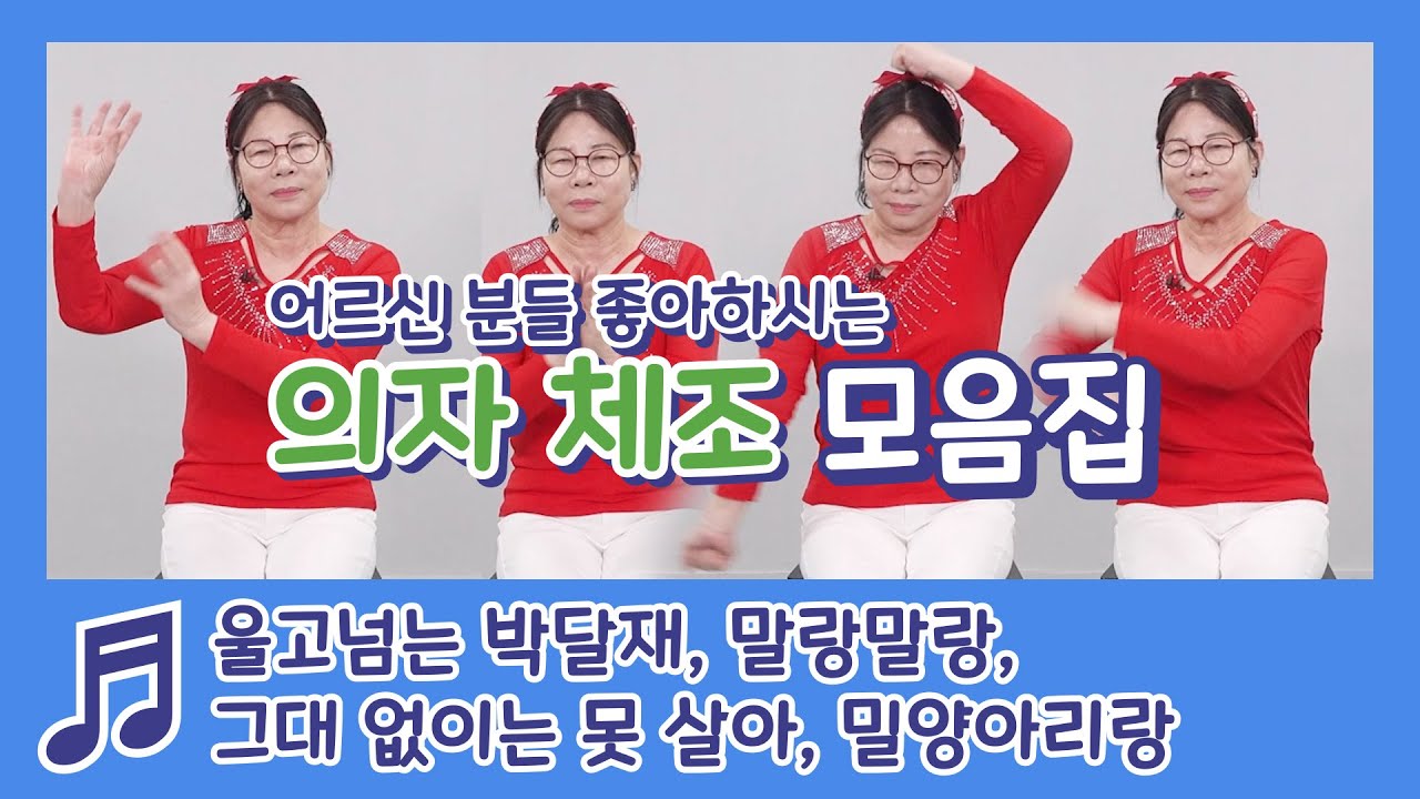 의자 체조 모음 집