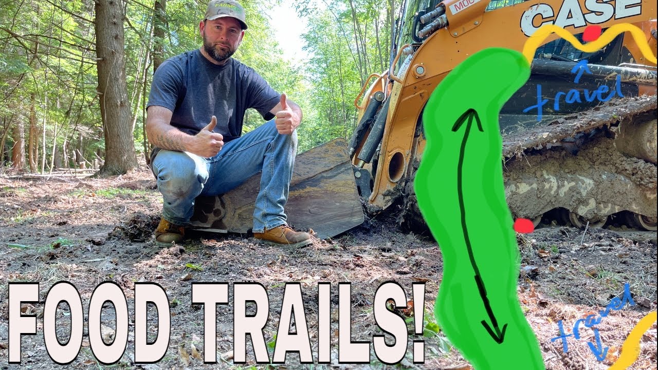 BOOST Deer Travel Potential With Food Plot Trails!
