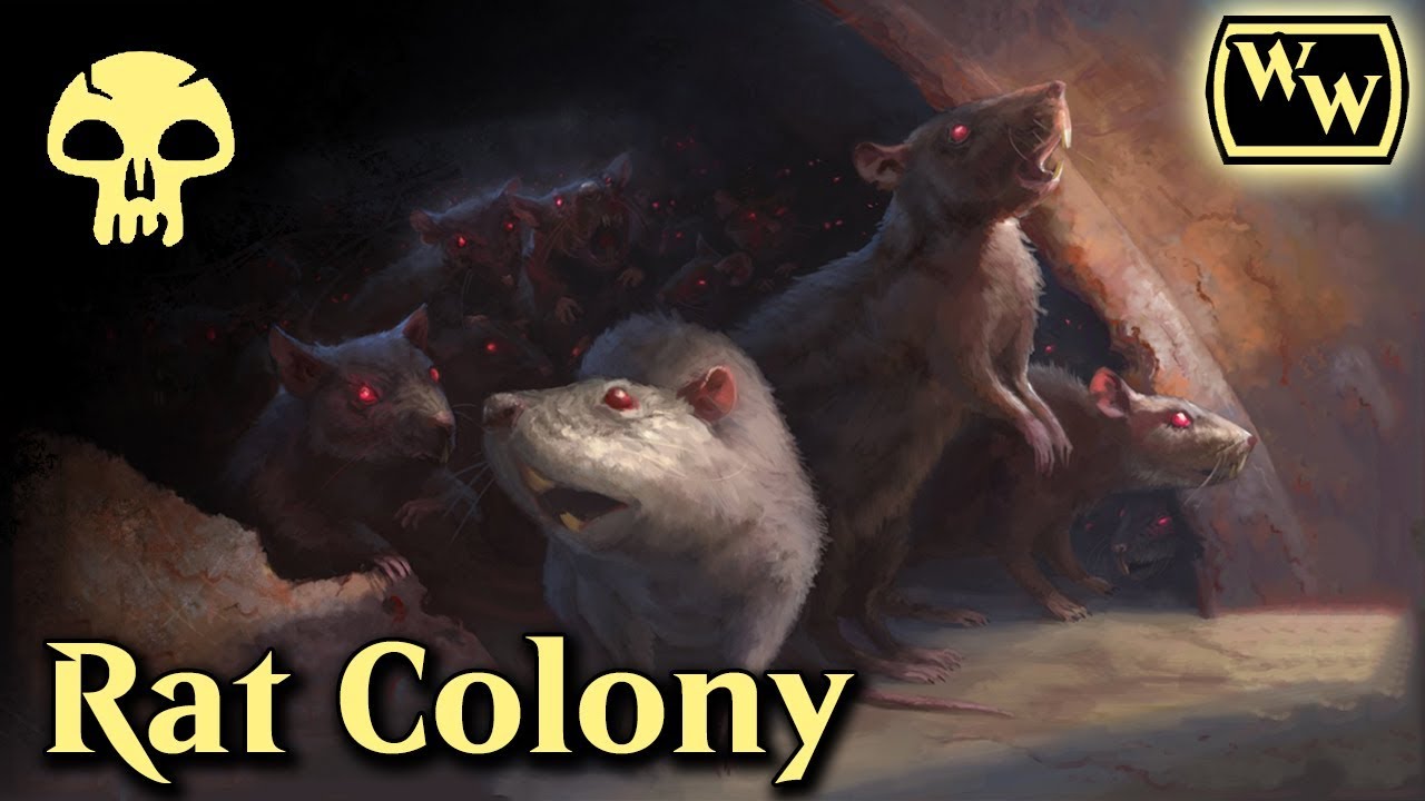 Wacky Wednesday - Standard - Rat Colony