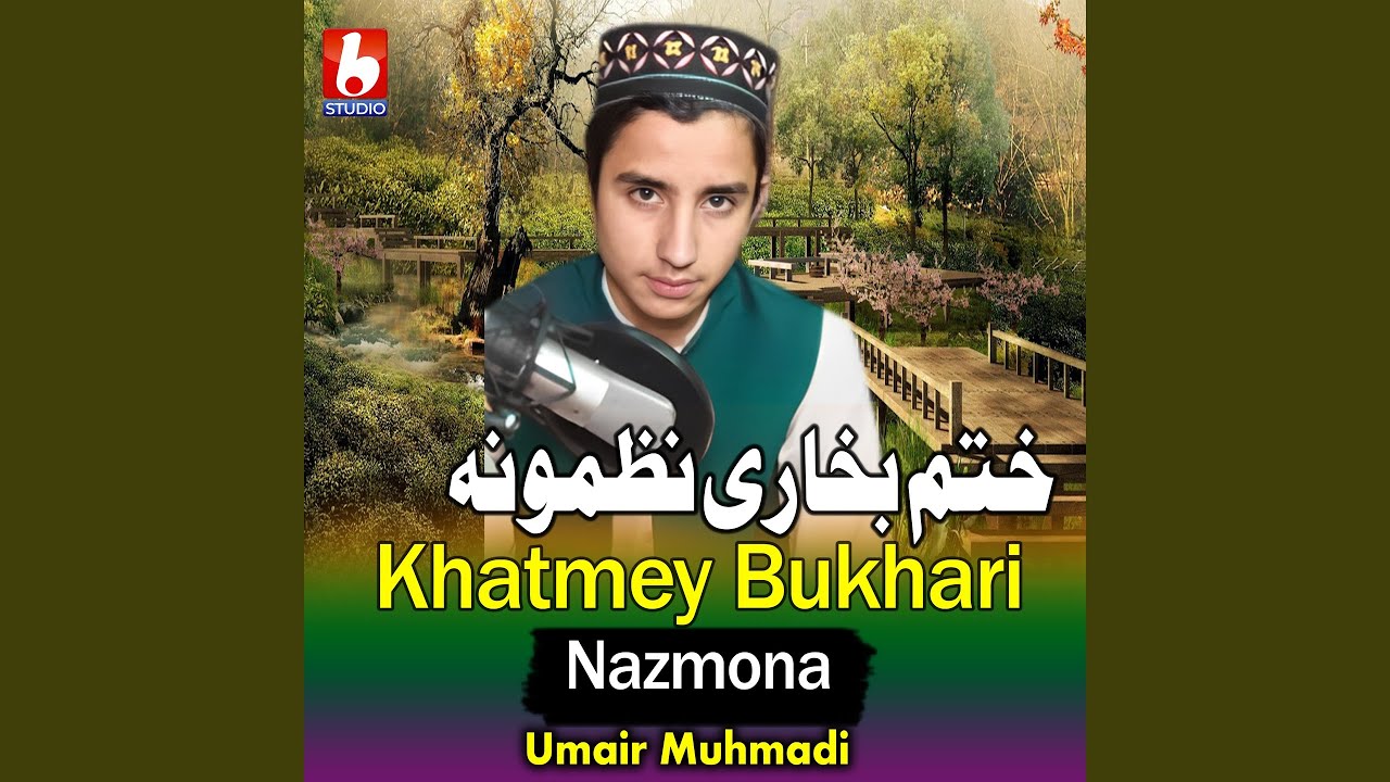 Hafiz Shlo Hamza
