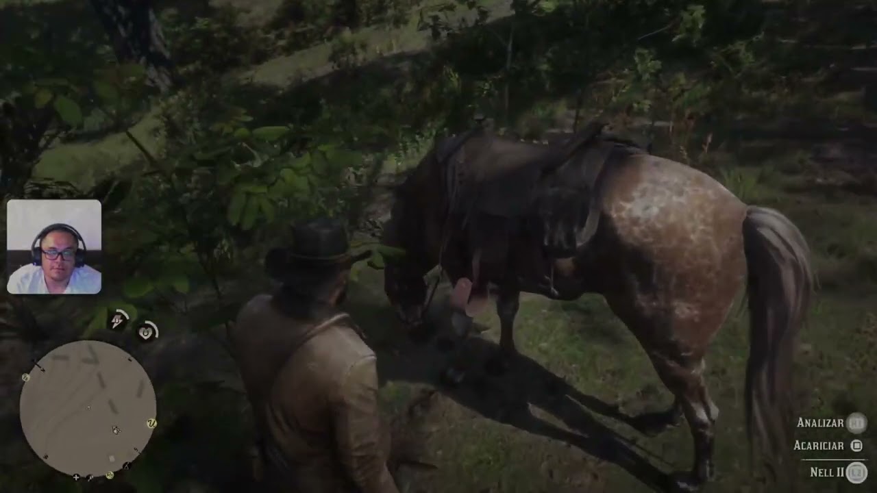 RDR 2 Gameplay Chile T01E002