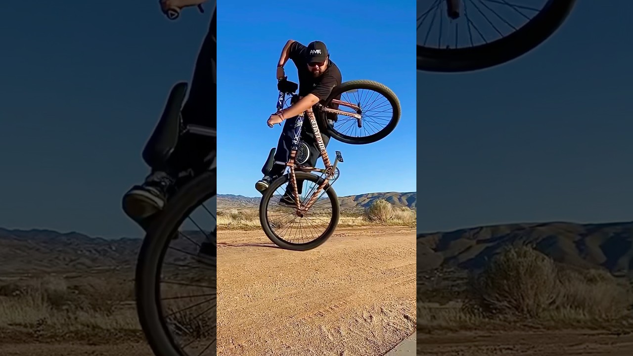 29&rdquo; BMX Freestyle!!! SE Bikes Big Flyer!