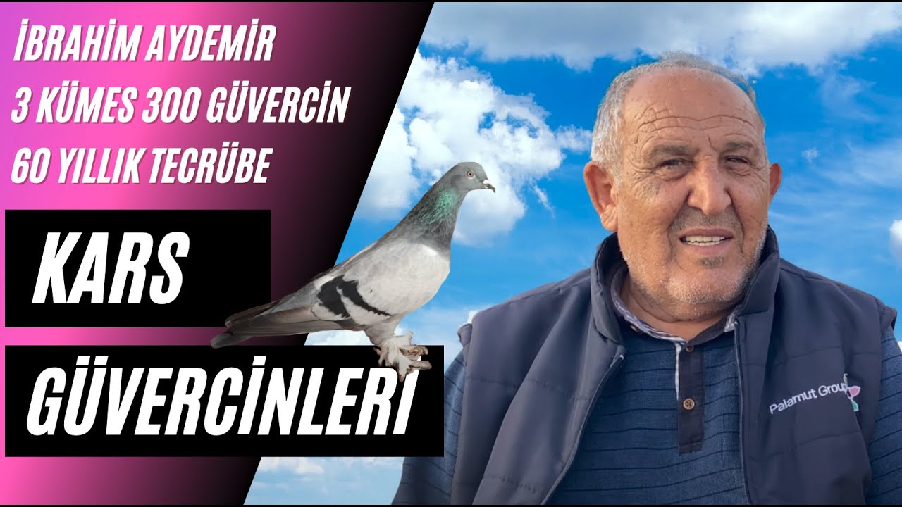 Taklacı Güvercin Sohbeti İbrahim Aydemir (Karslı)