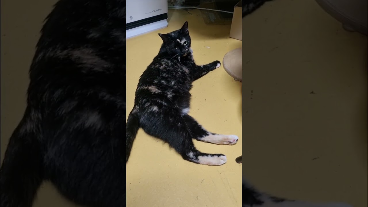 오스의 하루