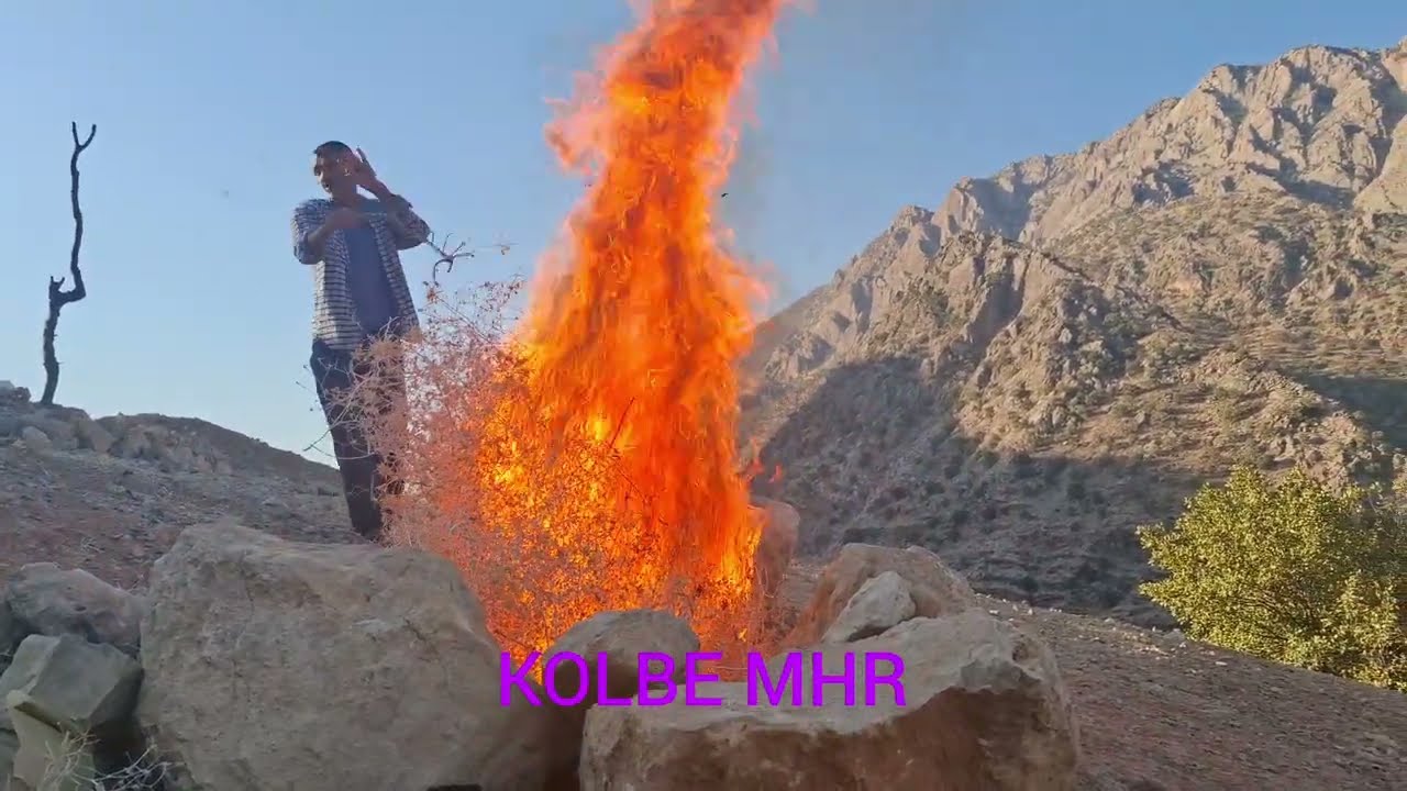 ۲۳ فوریهٔ ۲۰۲۶