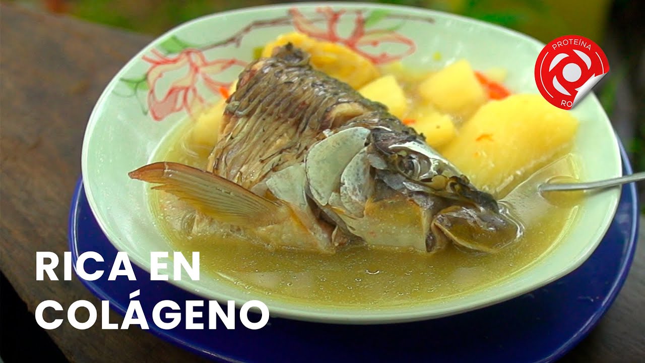 Come más cabeza de pescado - Conferencia #9 - Contra las enfermedades (Fragmento)