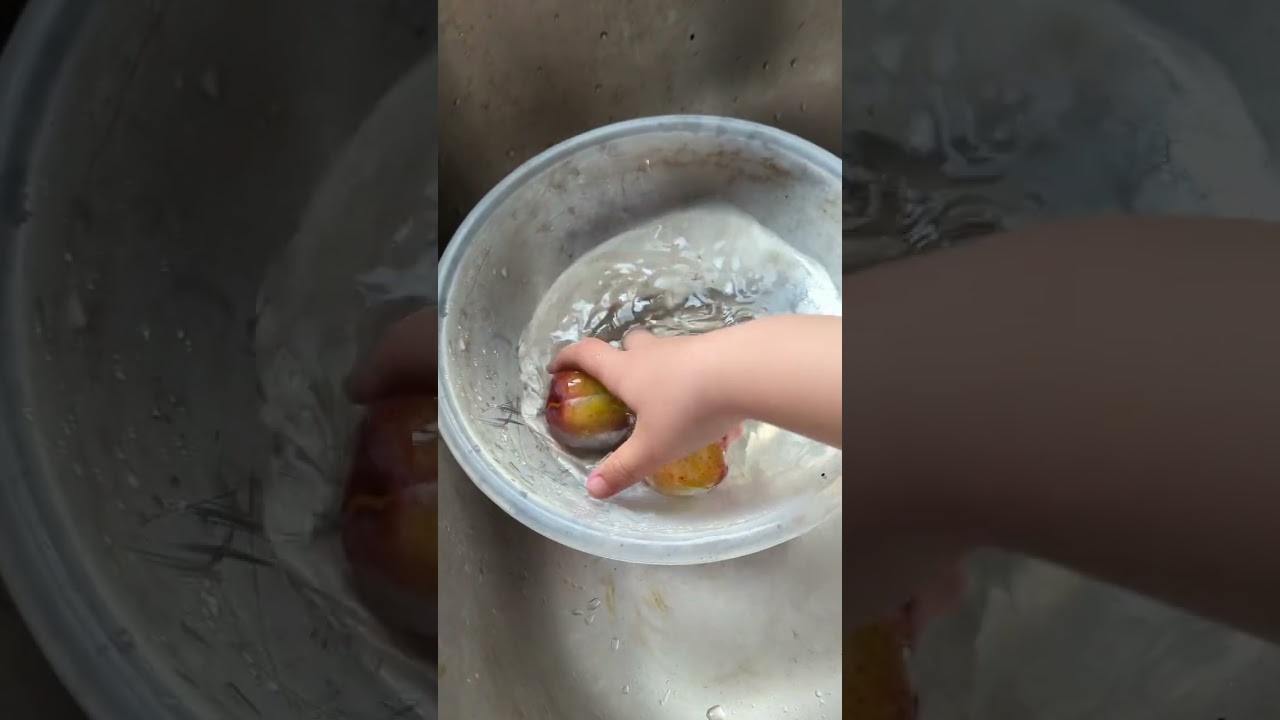 how to pick plums! (CORRECTLY)