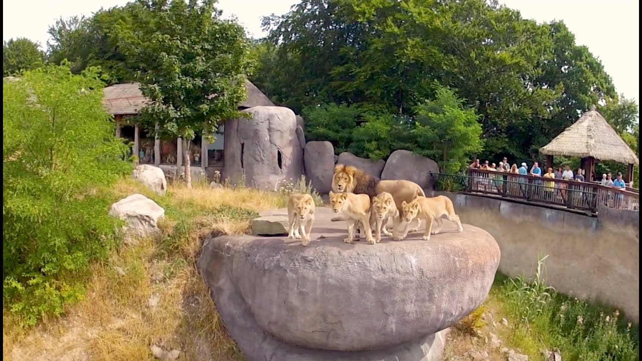 Iglucraft cabins in Ree Park Safari in Denmark