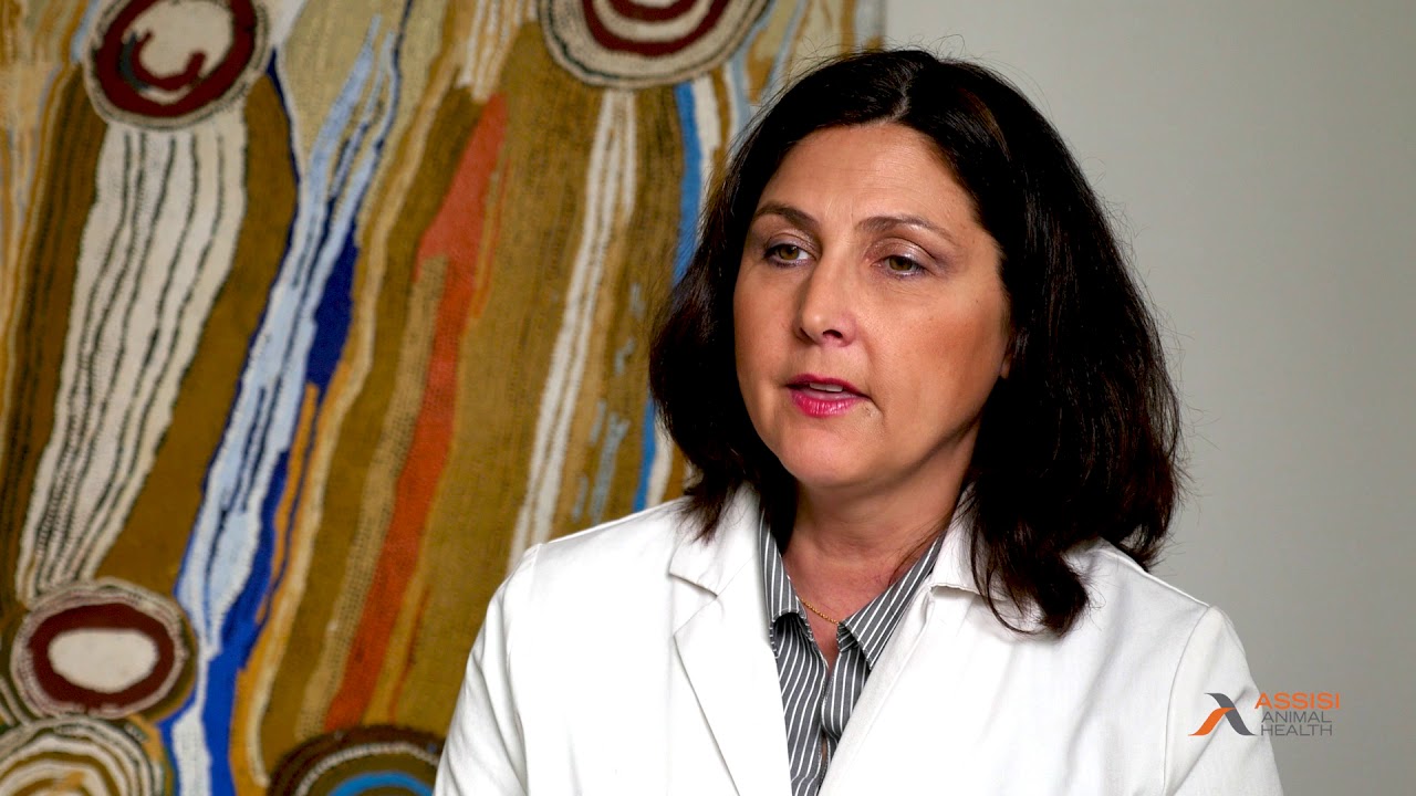 Assisi Loop Clinical Use Guide