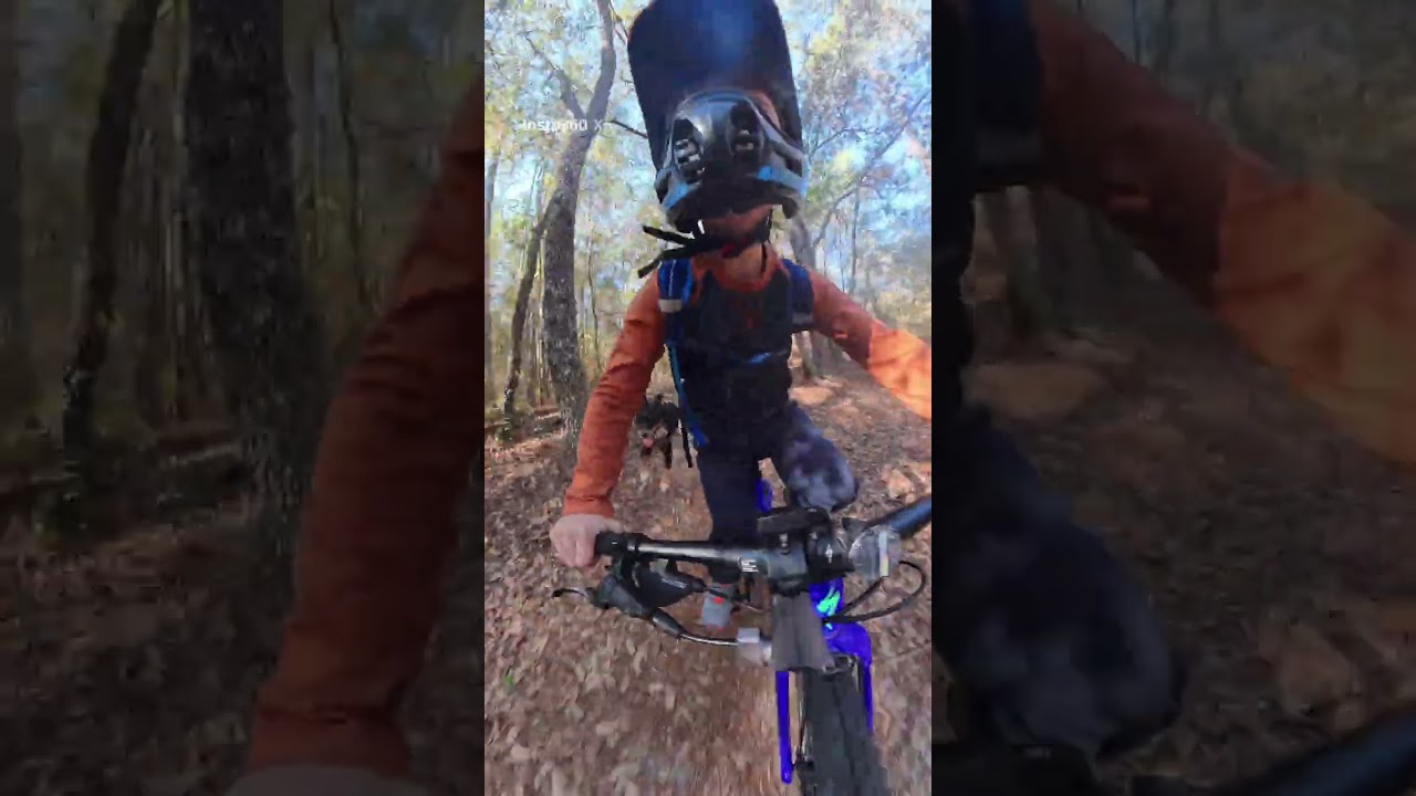 Ocala Greenway, Nayls South (part 2)