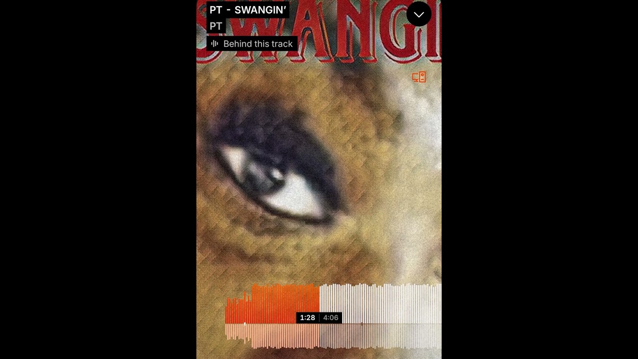 PT - SWANGIN’ (Official Visualizer)